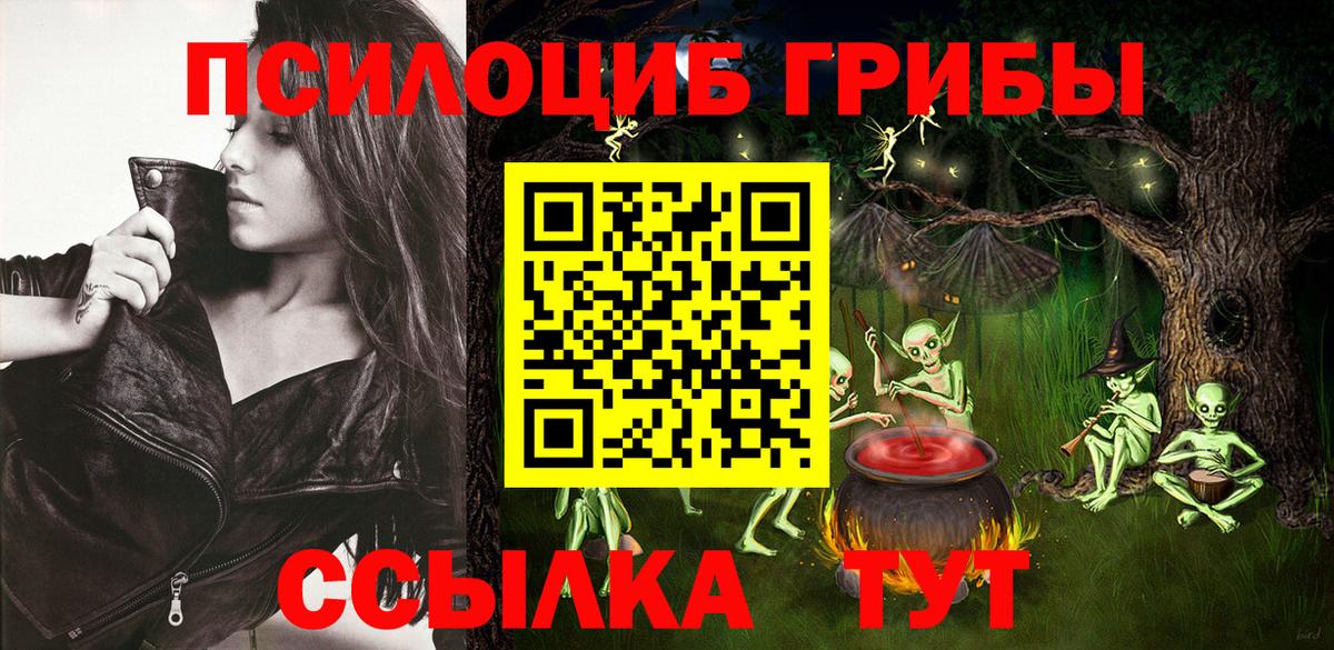 Реутов  Псилоцибиновые грибы мицелий  Вход с VPN  Галлюциногенные грибы мицелий 